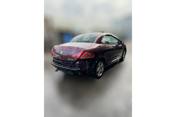 01335  PEUGEOT 307 CC (S1)  2.0