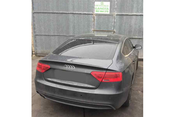 00260  AUDI A5 SPORTBACK (8T)(05.2009-)  2.0 TDI (130kW)