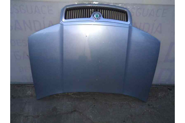 CAPOT  SKODA FABIA I COMBI  1.9 TDI 100CV 1896CC 2004 GRIS AZUL