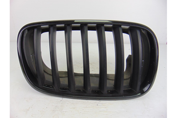 REJILLA PARAGOLPES DERECHA| BMW- 3.0 SD 286CV 2993CC|51137171396 - 2007